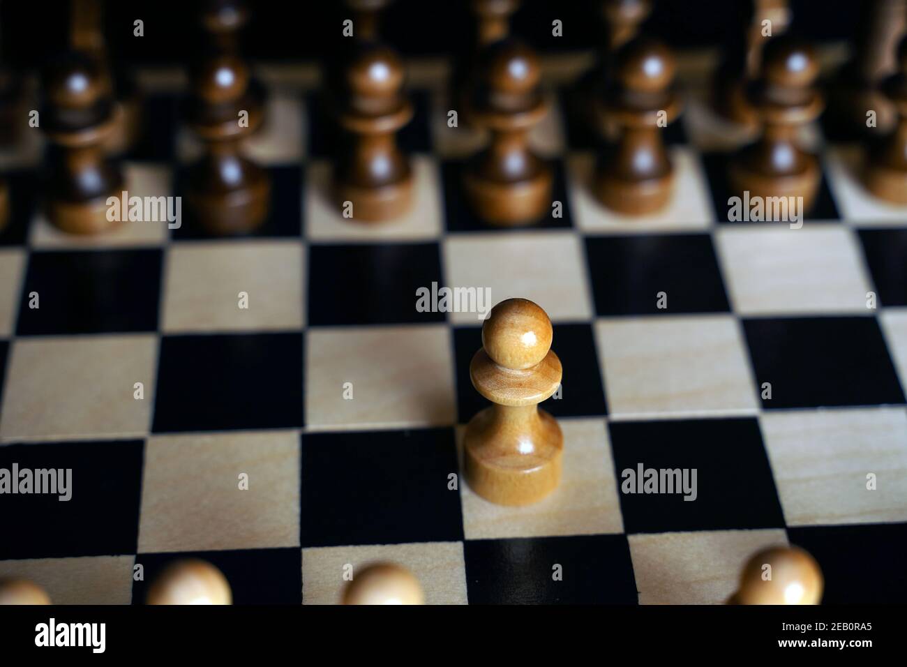 Nahaufnahme von weißen und schwarzen Schachfiguren an Bord. Selektiver Fokus auf den ersten Zug der weißen Spielfigur auf dem Schachbrett. Konzept von intelligent, logisch und stra Stockfoto