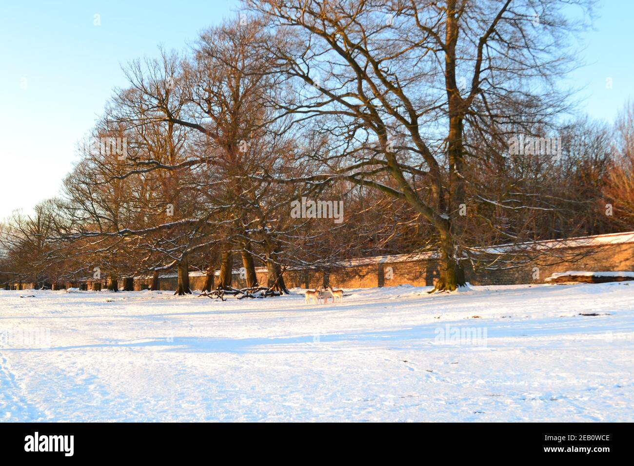 Historisches Knole House and Park, ein Tudor-Wahrzeichen in Sevenoaks, Kent, im Februar 2021 während eines "Bestie aus dem Osten" an einem knackigen eisigen Tag mit Schnee Stockfoto