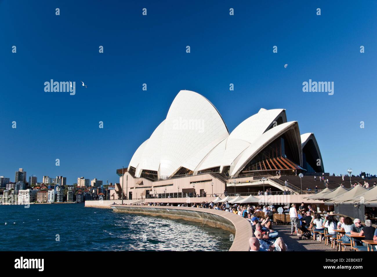 Das Sydney Opera House Performing Arts Centre im Hafen von Sydney ist ein beliebtes Touristenziel, Sydney, Australien. Stockfoto