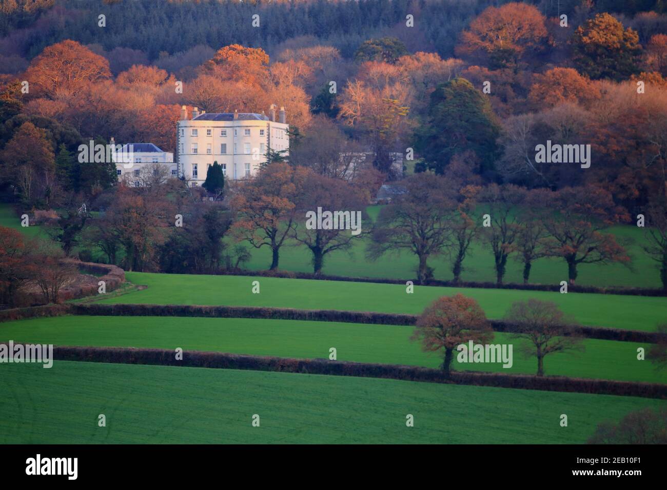 Old Shute House (bekannt als Shute Barton) In East Devon UK Stockfoto