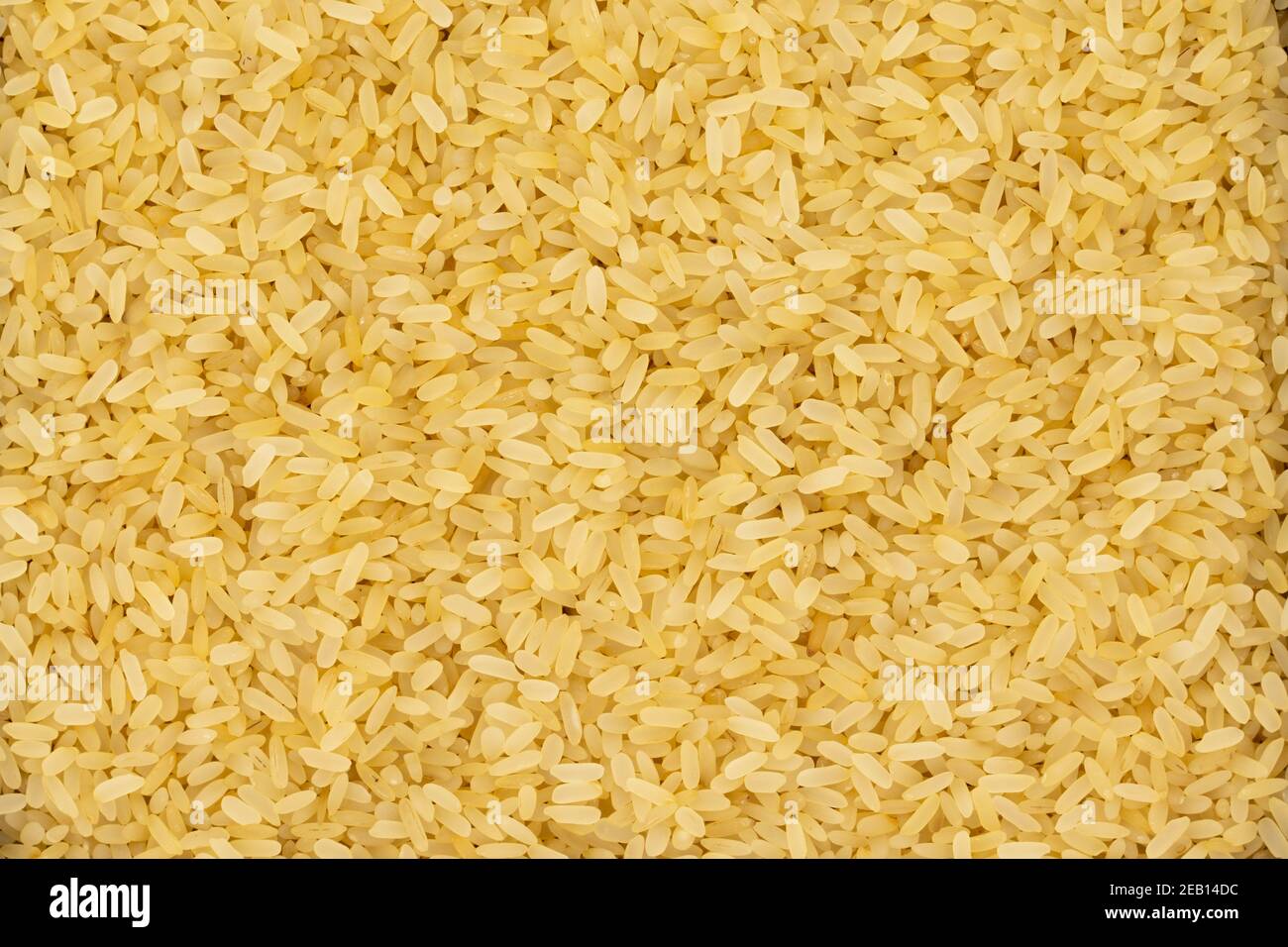 Draufsicht auf einen Haufen roher Parboiled Reis. Hintergrund aus Reis. Stockfoto
