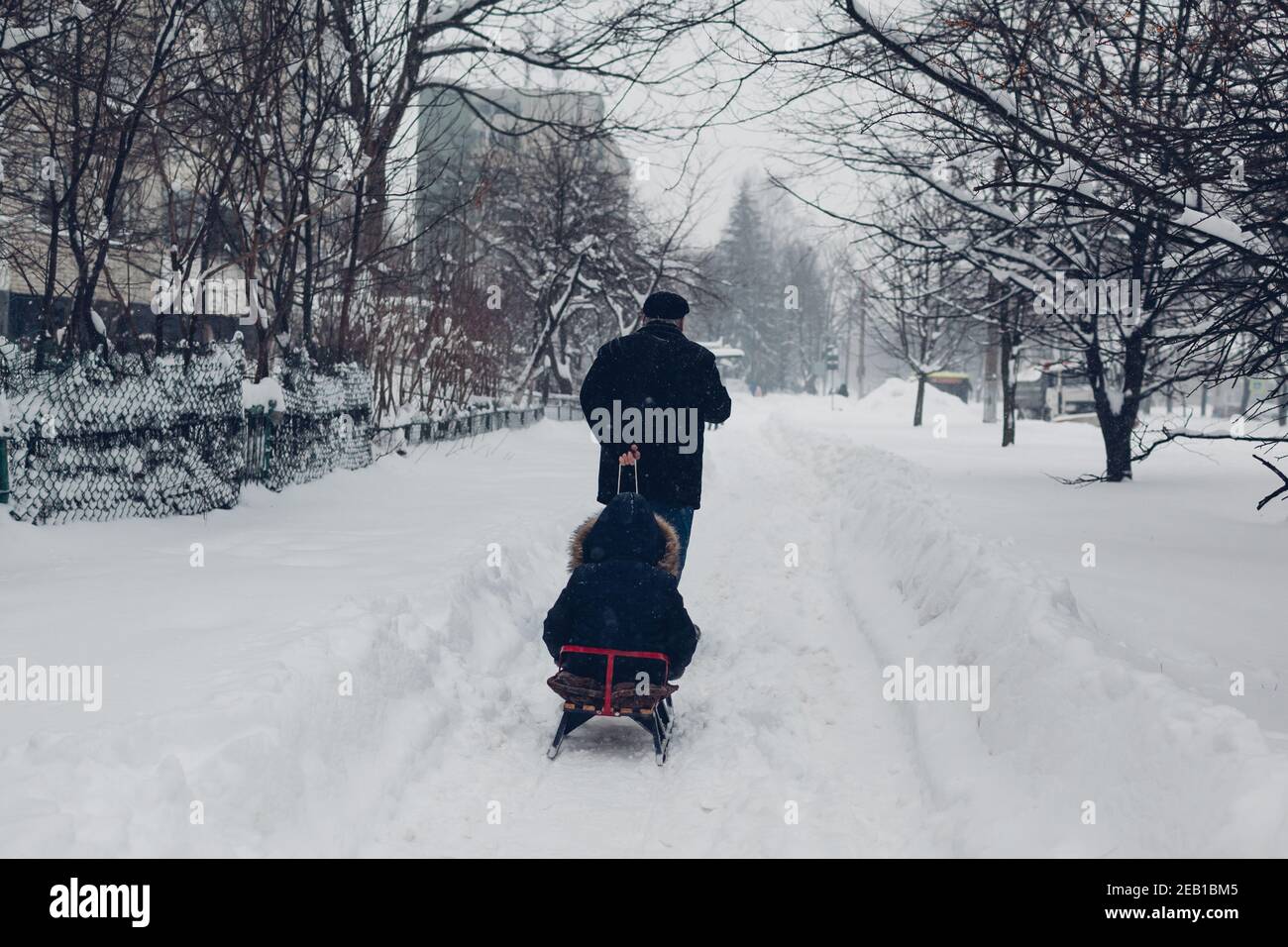 Großvater zieht Schlitten mit kleinen Jungen auf der Straße der Stadt zwischen Schnee während Schneefall. Outdoor-Aktivitäten im Winter Stockfoto