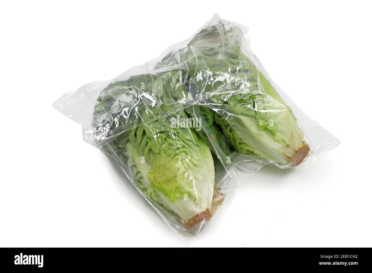 romaine Salat verpackt in einem Kunststoff isoliert auf weißem Hintergrund Stockfoto
