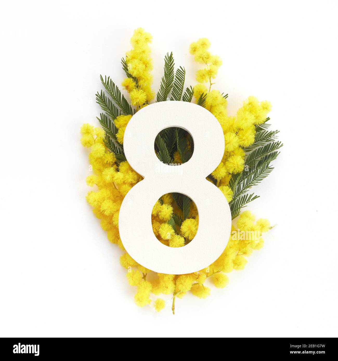 Layout mit Mimosa folwers und Nummer acht. Flach liegend. Draufsicht Stockfoto