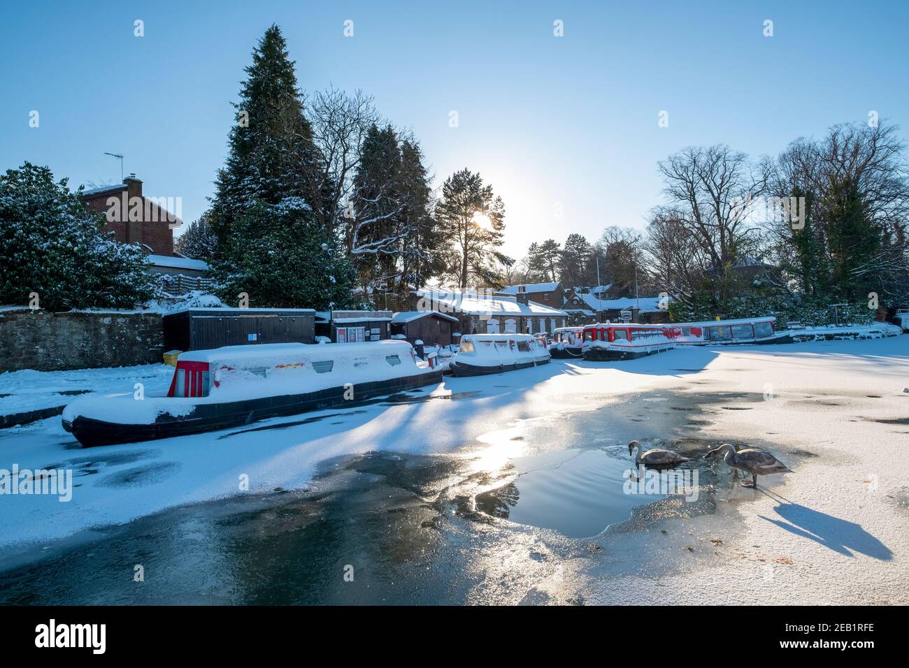 Linlithgow Union Canal Basin gefroren, Manse Road, Linlithgow. Stockfoto