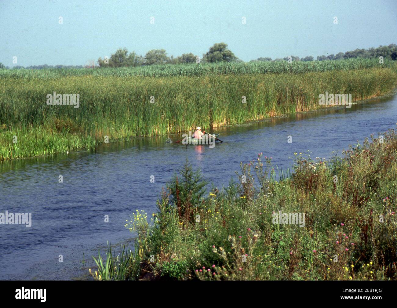 Reportage Rumänien 1998, Donaudelta (gescannt von Ektachrome VS) Stockfoto