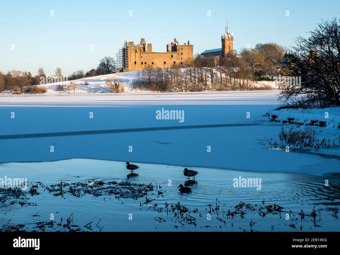 Winterszene Schottland: Die Sonne geht auf einem gefrorenen Linlithgow Loch und Linlithgow Palace unter. Stockfoto