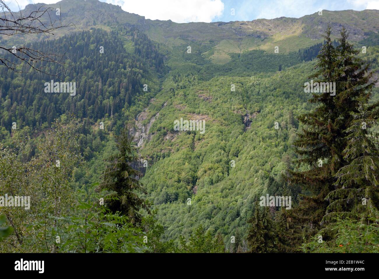 Grünen Berghang Stockfoto