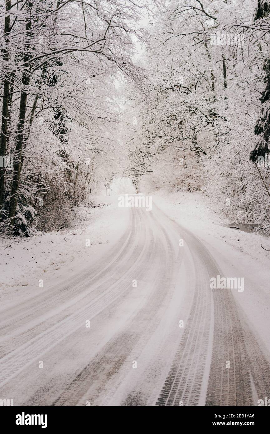 Straße bedeckt mit Autospuren und mit Schnee bedeckten Bäumen Stockfoto