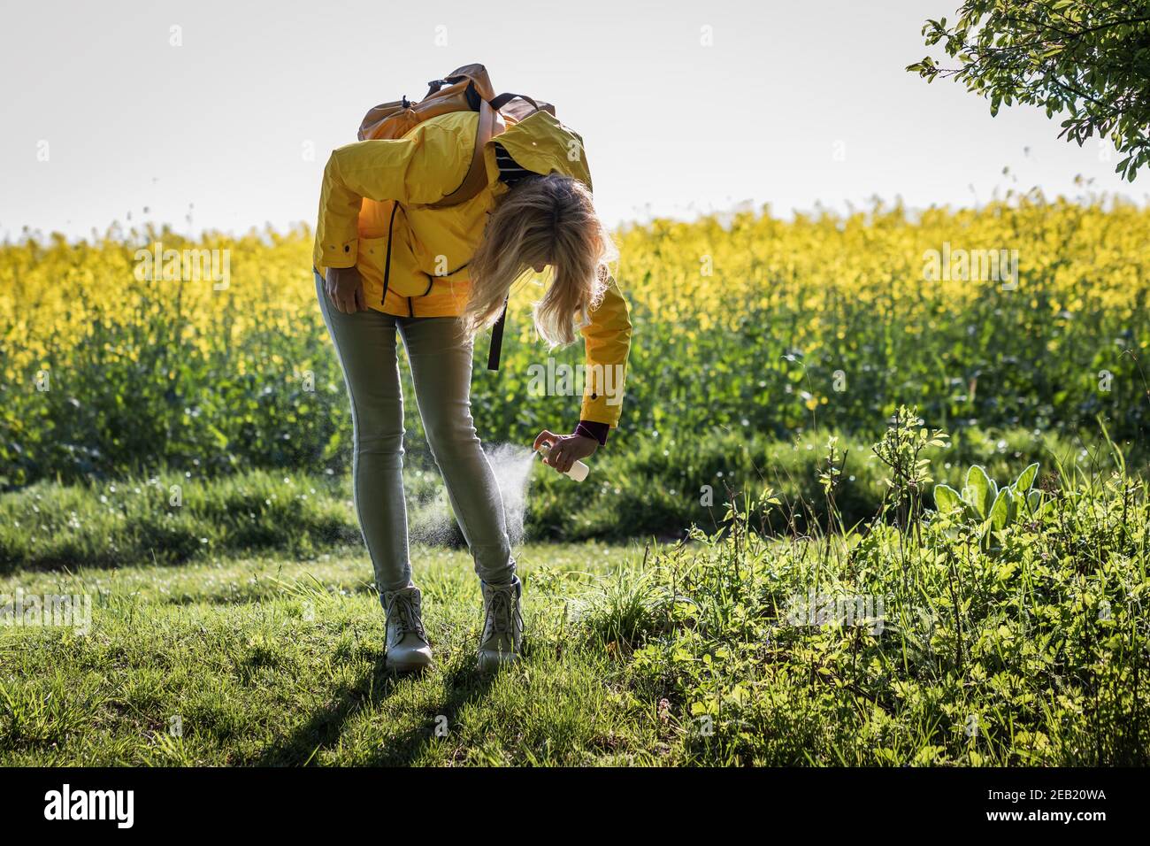 Tourist sprüht Insektenschutzmittel auf ihre Beine und Wanderschuhe. Schutz gegen Zecken im Freien Stockfoto