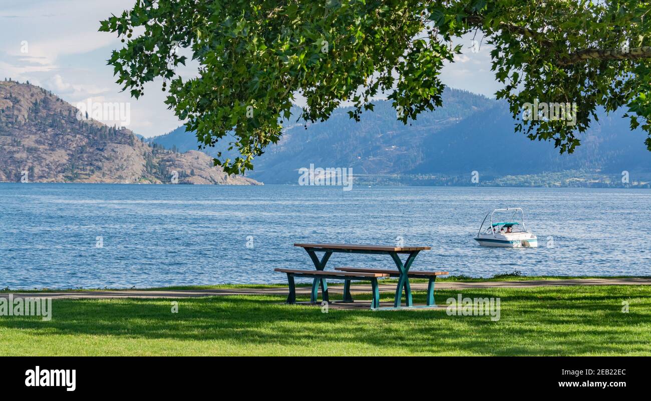 Erholungsgebiet unter der Krone der großen Kastanie mit dem See Übersicht Stockfoto