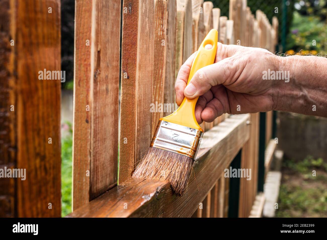 Gemälde Holzzaun im Hinterhof. Pinsel in männlicher Hand. Renovierung von Holz Pfostenzaun. Stockfoto