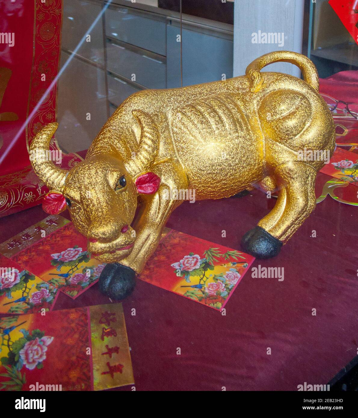 Für das Jahr des Ochsen befindet sich 2009 in Chinatown, New York City, ein goldener Ox im Fenster eines Brillenladens. Stockfoto