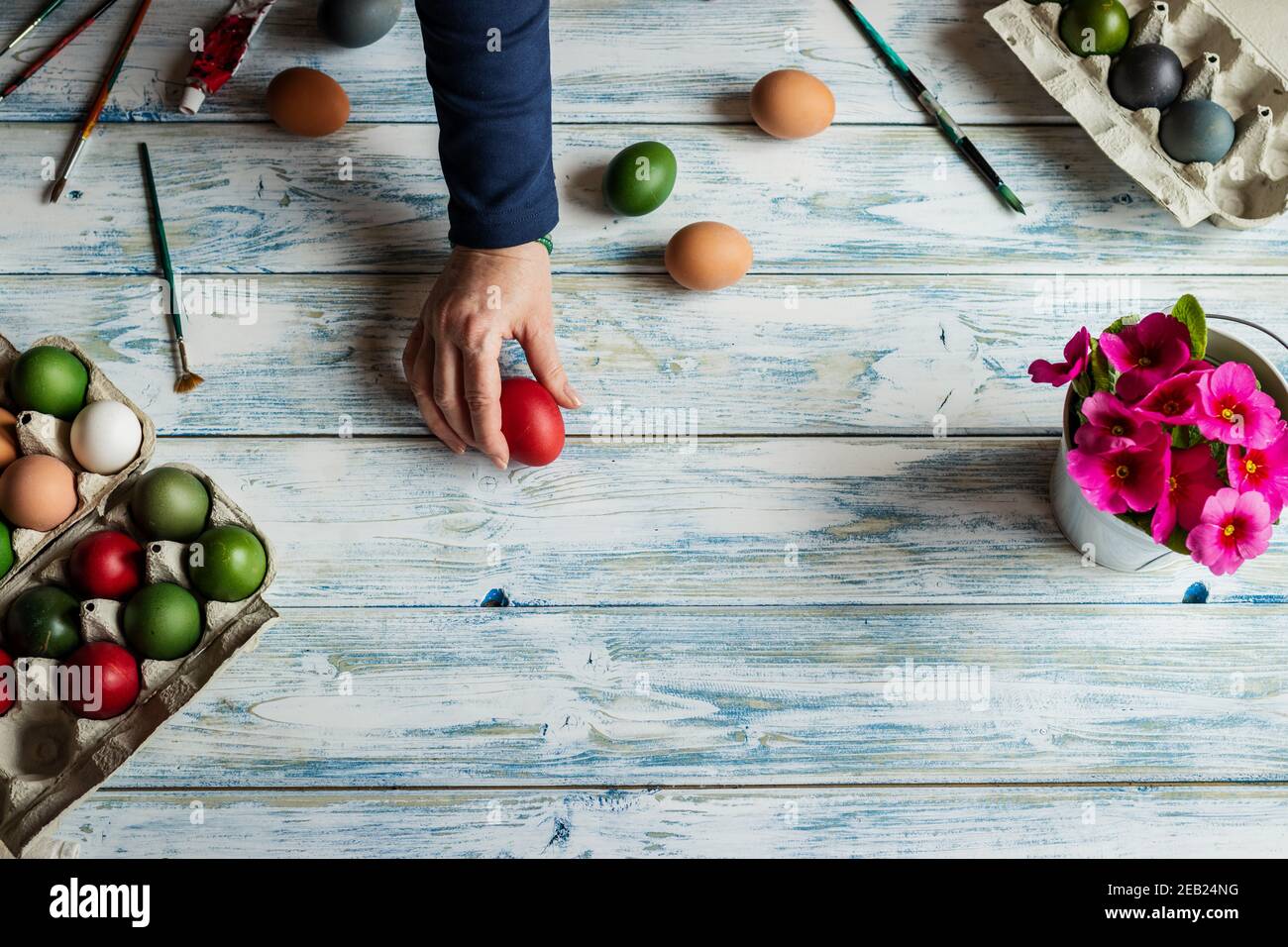 Vorbereitung für das Malen von Ostereiern. Weibliche Hand, Pinsel, bunte Eier und rosa Primellenblume auf weißem Holztisch. Flach liegend Stockfoto