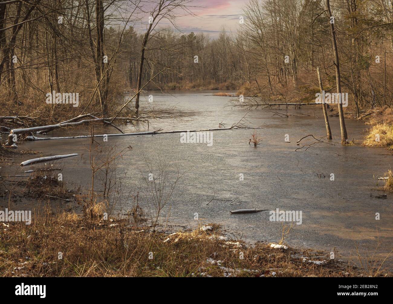 Landschaftlich schöner Blick auf ein National Wildlife Area. Stockfoto