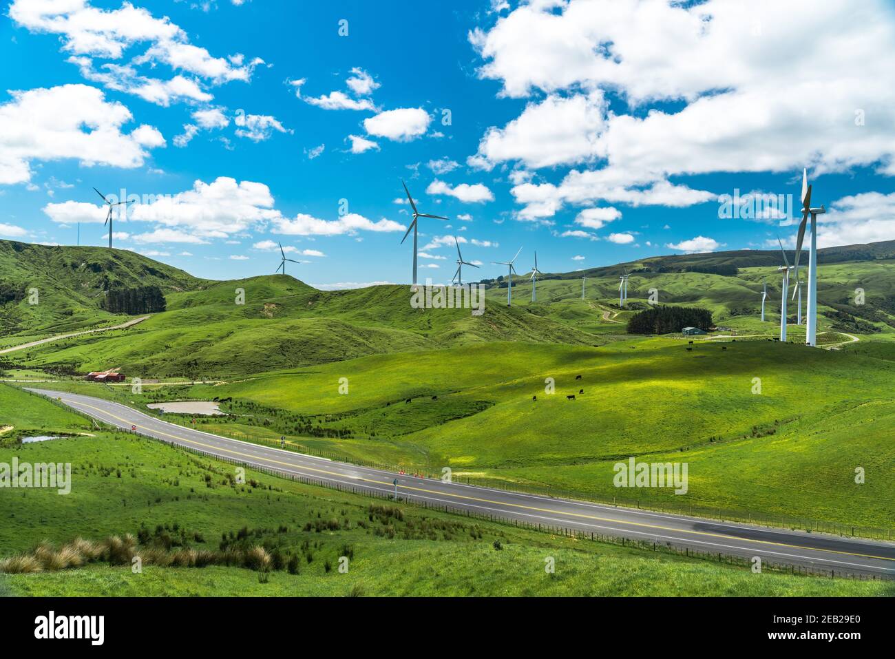 Windpark mit mehreren Turbinen entlang einer kurvenreichen Landstraße. Inmitten einer Wiese mit einem Farmland-Feeling Stockfoto