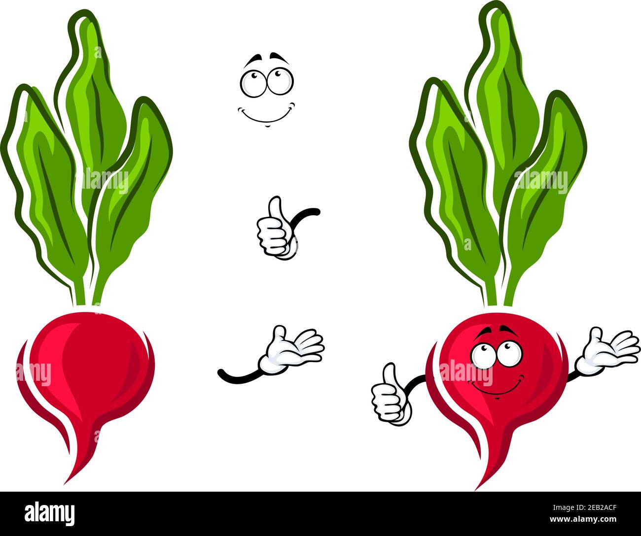 Rosa Rettich Gemüse Cartoon-Figur mit runder Wurzel, schüchternes Lächeln und lange grüne Blätter mit Stielen. Für die Landwirtschaft oder gesunde Ernährung Design Stock Vektor