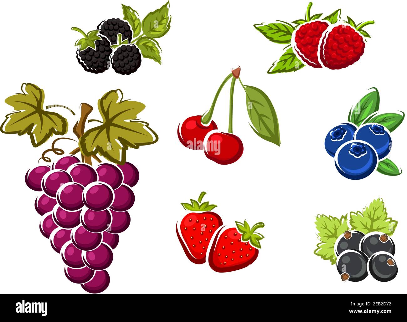 Süße saftige Beeren mit einem Bündel von violetten Trauben, Erdbeere, Brombeere, Himbeere, Kirsche, schwarze Johannisbeere, Heidelbeere. Isoliert auf weißem Hintergrund Stock Vektor