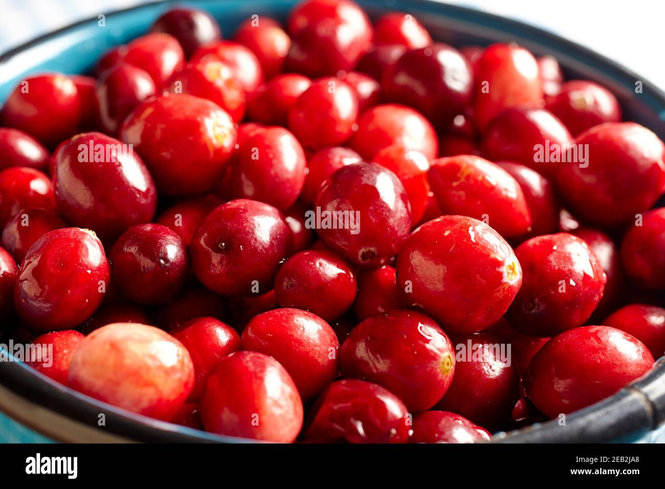 Eine Schüssel mit frischen Preiselbeeren Stockfoto