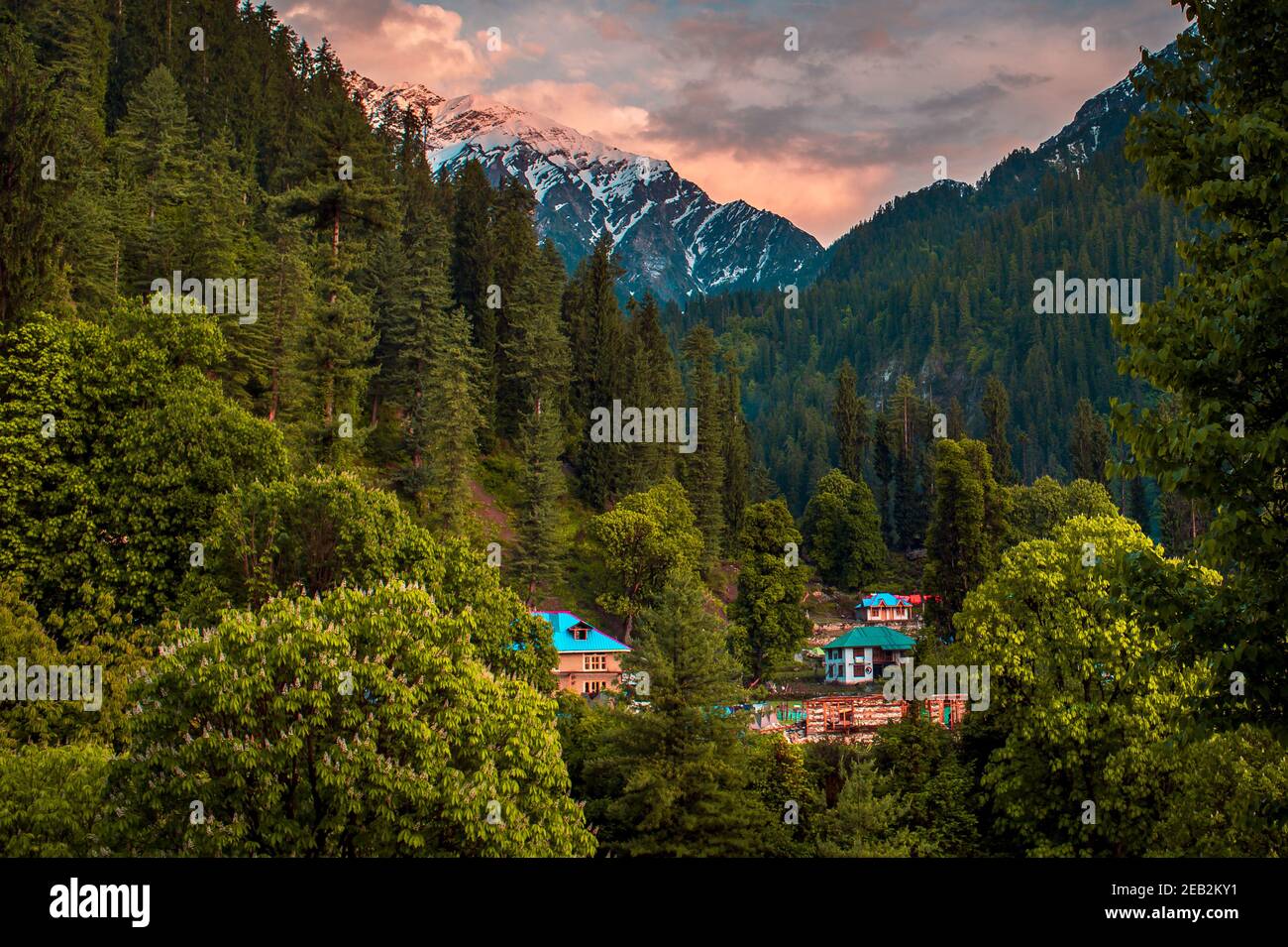 Landschaftlich reizvolle Aussicht auf die Himalaya Range. Sonnenaufgang Blick aus dem dichten Wald des Himalaya-Dorfes Grahan, Kasol, Himachal Pradesh, Indien. Stockfoto