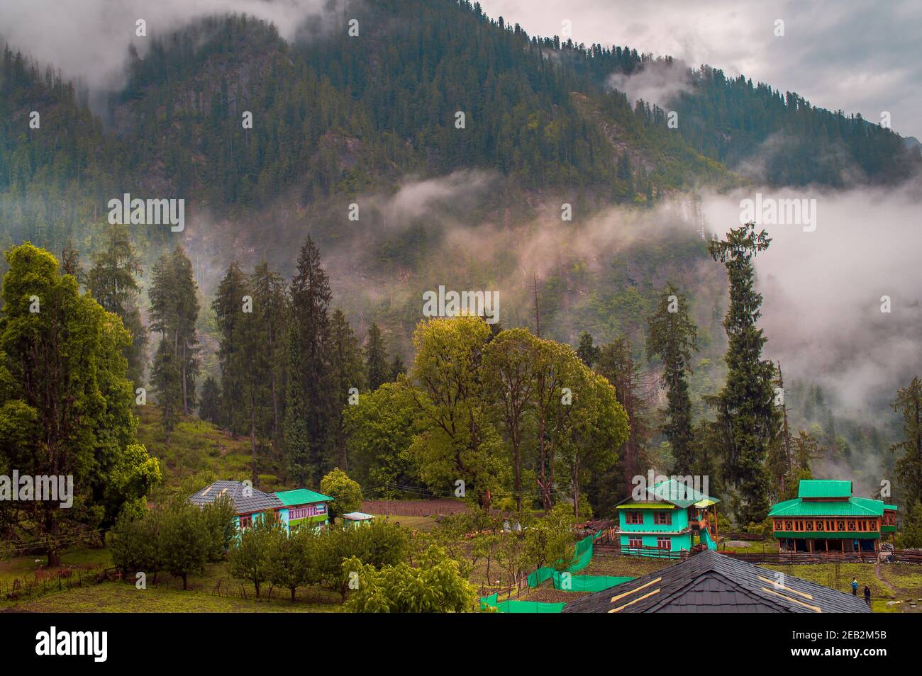 Landschaftlich reizvolle Aussicht auf die Himalaya Range. Sonnenaufgang Blick aus dem dichten Wald des Himalaya-Dorfes Grahan, Kasol, Himachal Pradesh, Indien. Stockfoto