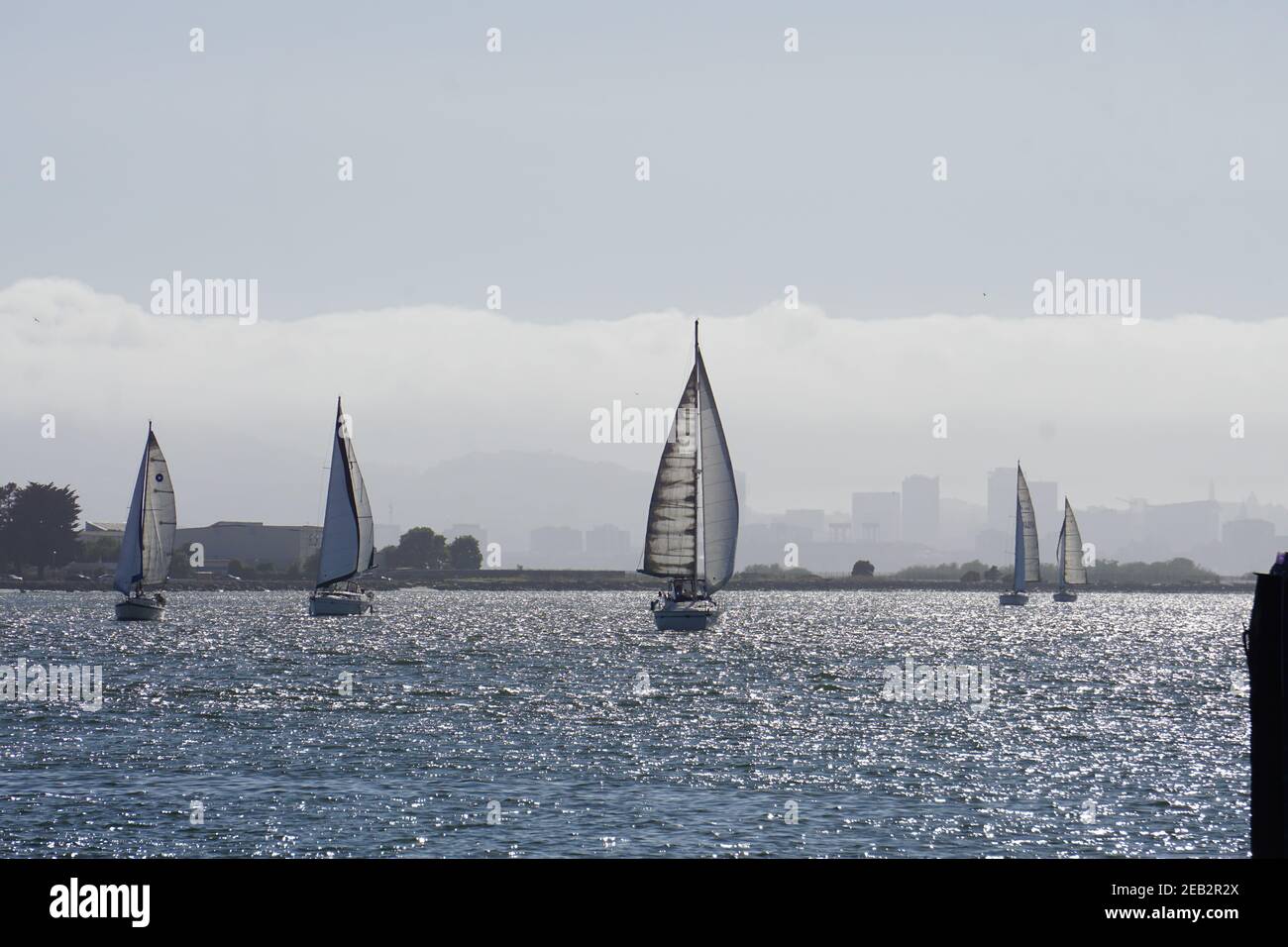 Segelboote fahren am Jack London Square in den Oakland Inner Harbor ein, hinter dem die Skyline von San Francisco steht. Hafen von Oakland, CA, USA. Stockfoto