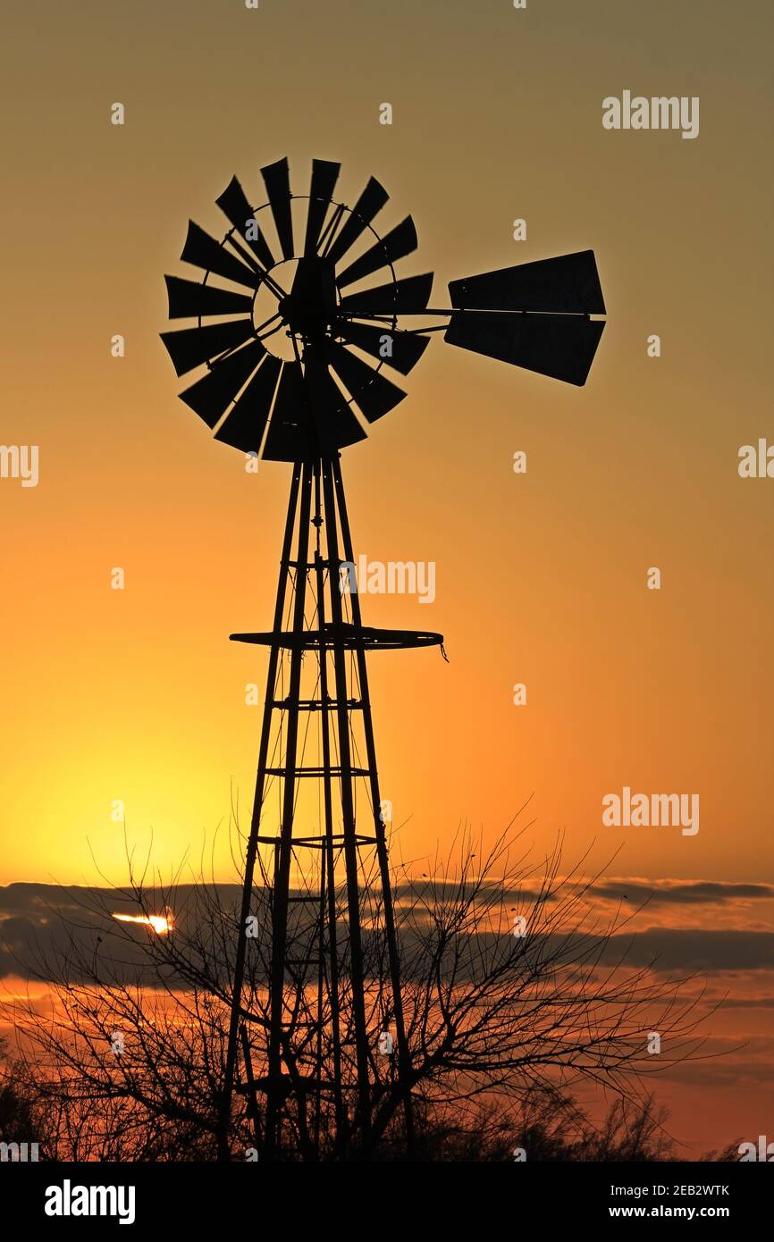 Kansas Windmill Silhouette mit Bäumen und einem bunten Himmel im Land nördlich von Hutchinson Kansas USA auf einer Weide. Stockfoto