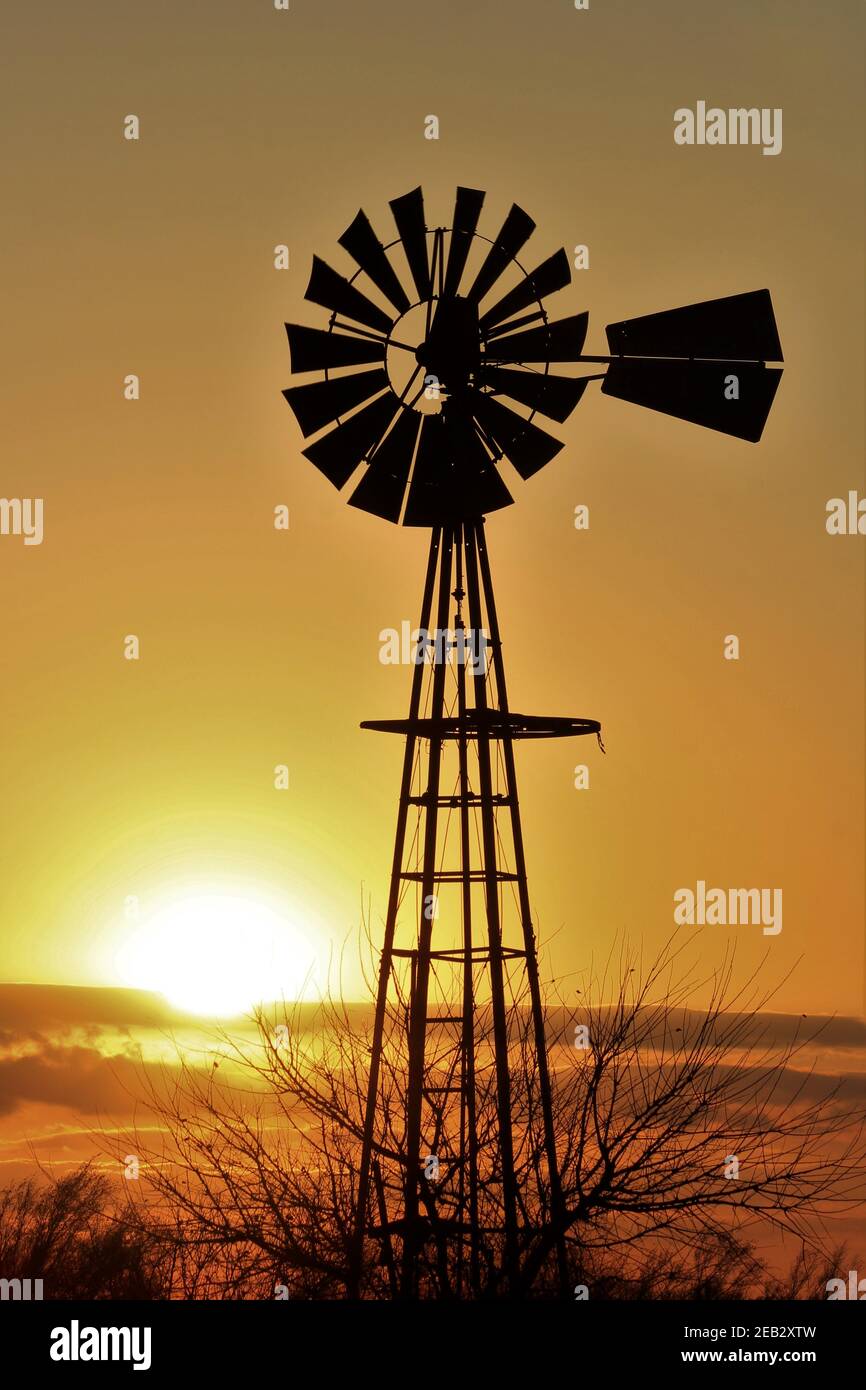 Kansas Windmill Silhouette mit Bäumen und einem bunten Himmel im Land nördlich von Hutchinson Kansas USA auf einer Weide. Stockfoto