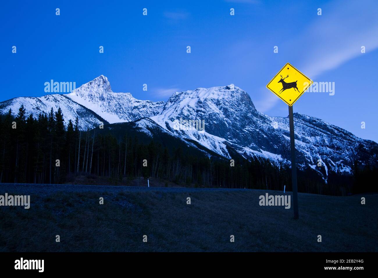 Vorsicht Hirsche oder Wildtiere Schild in den Bergen bei Nacht in Kananaksis, Alberta, Kanada Stockfoto
