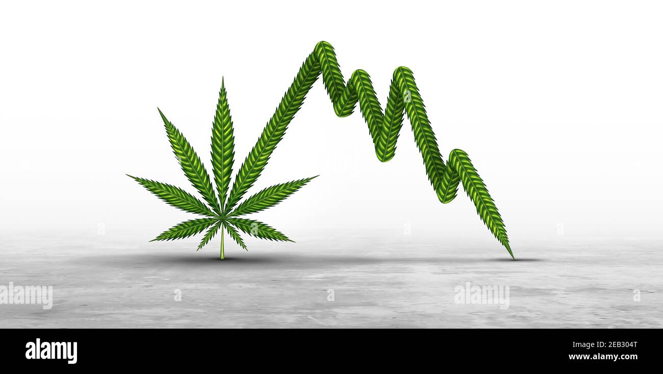 Verlust von Cannabis-Aktien und Marihuana-Aktien oder Investitionen in Unkraut Aktien als Unternehmen, das Aktien als Markt verkauft Korrektur mit einem Blatt geformt Stockfoto