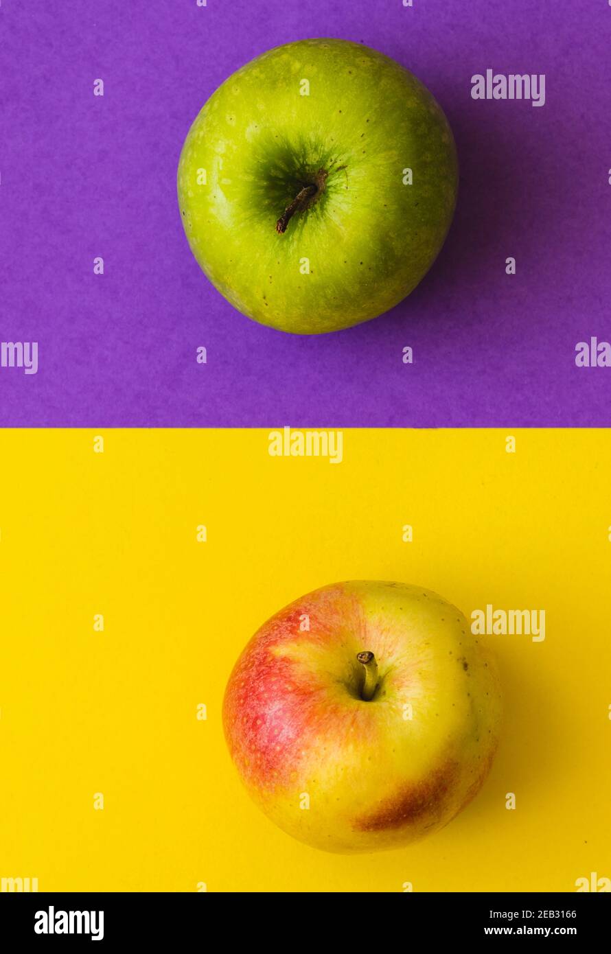 Grüner Apfel und gelb-roter Apfel, auf einem halb violetten und halb gelben Hintergrund Stockfoto