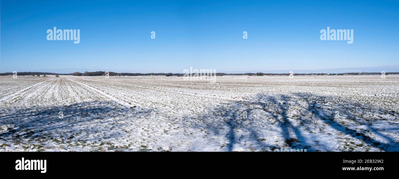 Verschneite Landschaft in Friesland, Niederlande mit blauem Himmel, Schnee und Sonne. Schatten von Bäumen im Vordergrund. Breitbild Stockfoto