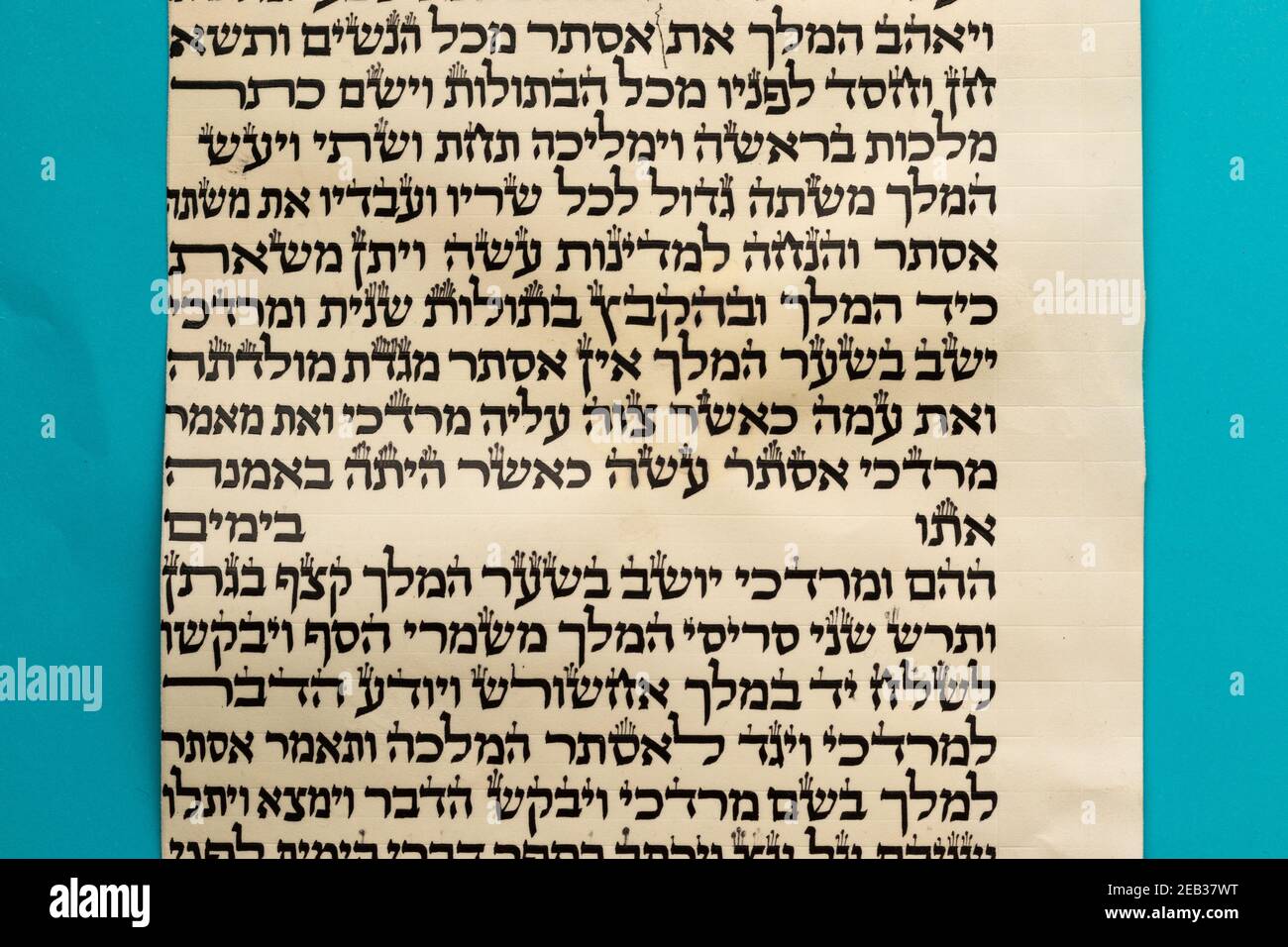 jerusalem, israel. 08-02-2021. Ein Teil des Buches Esther ist in Hebräisch auf Pergament für Purim, blauer Hintergrund (für den Herausgeber - in Hebräisch - t Stockfoto