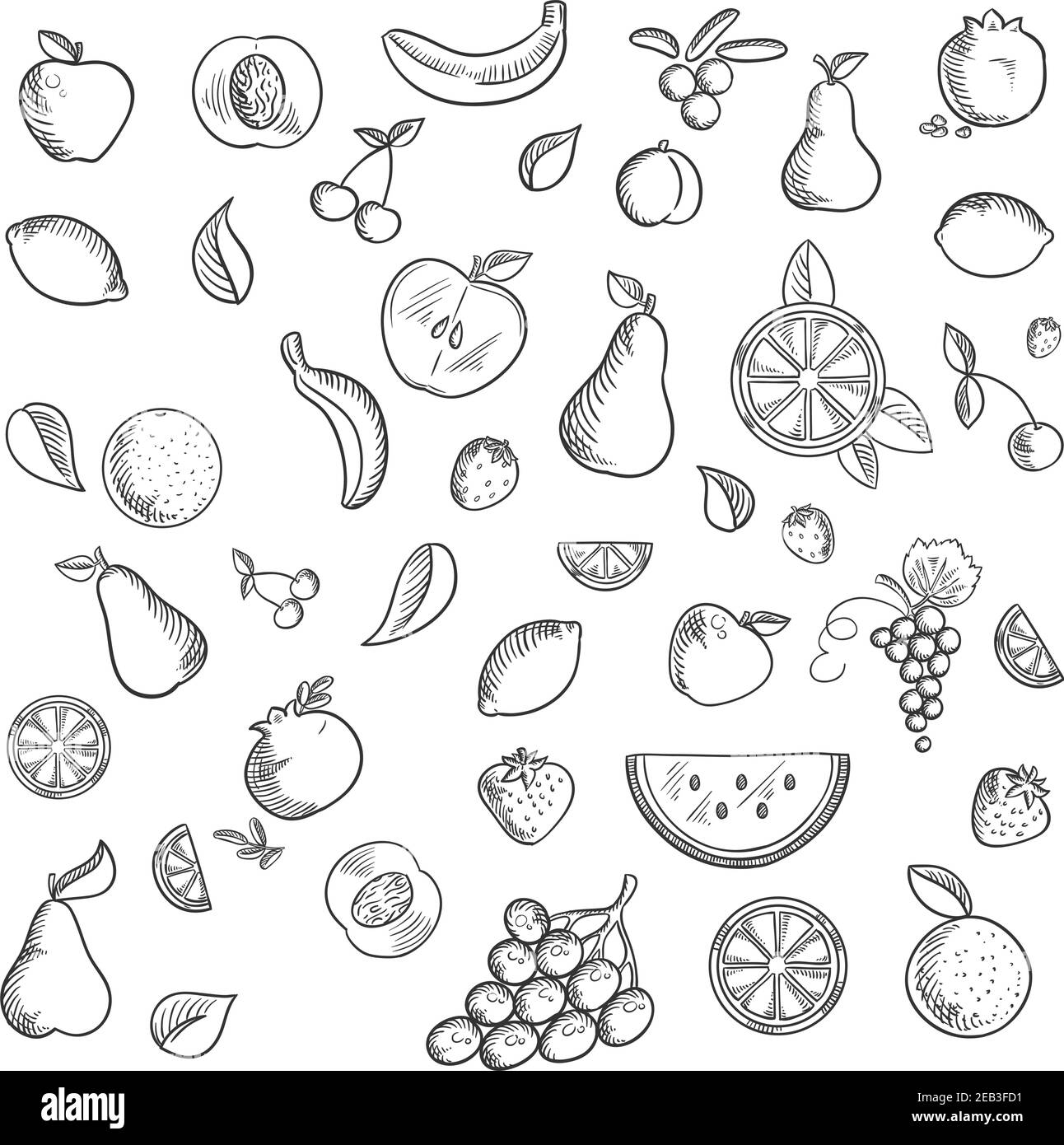 Früchte und Beeren skizzierte Ikonen mit ganzen und in Scheiben geschnittenen Äpfeln, Bananen, Birnen, Aprikosen, Granatäpfel Zitronen Orangen Kirschen Trauben, Erdbeeren, c Stock Vektor