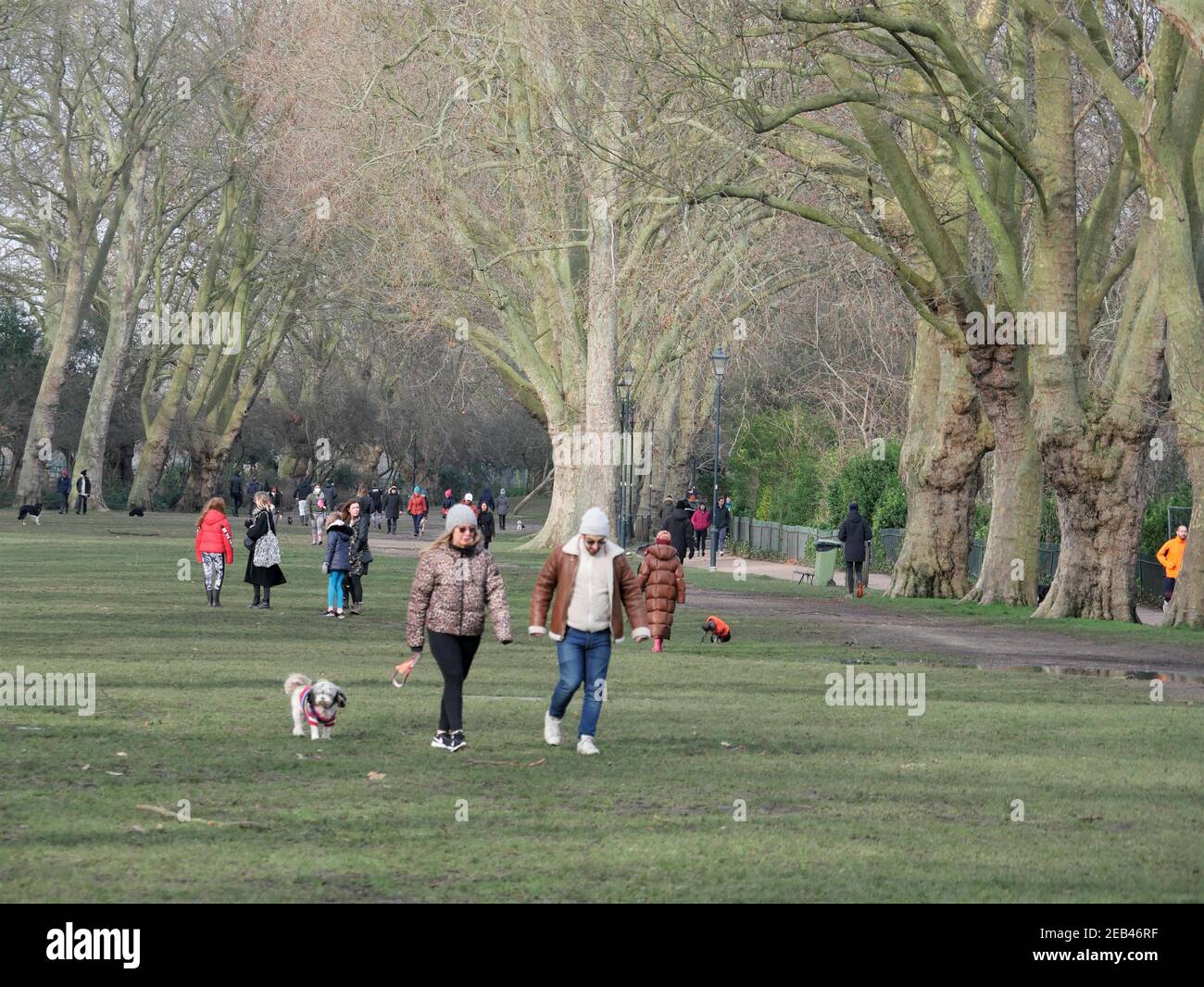 Menschen trainieren und Hunde gehen während der Sperre im Bishops Park, Fulham, London Stockfoto