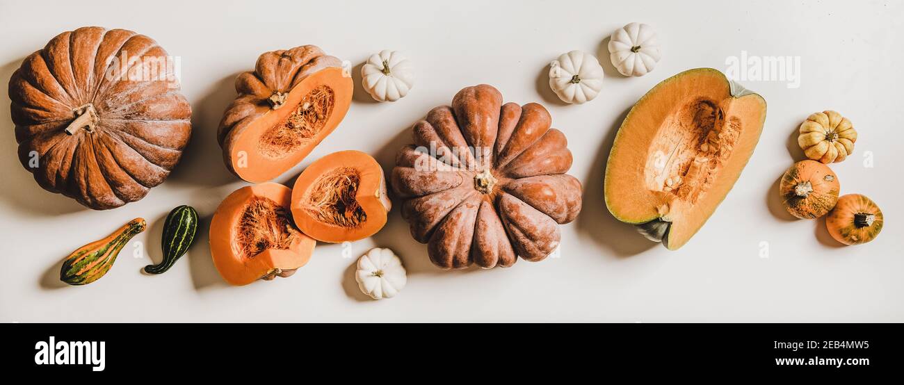 Vegane Küche im Herbst oder Winter. Flache Verlegung von ganzen und geschnittenen Kürbissen in verschiedenen Größen und Farben auf weißem Hintergrund, Draufsicht. Vegan, vegetarische Kost, alkalische Kost, sauberes Essen Stockfoto