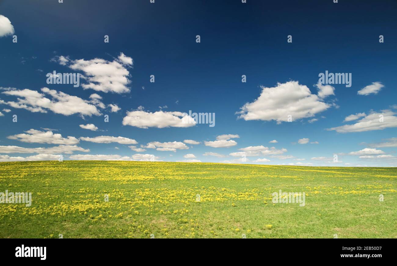 Grüner und gelber Hügel mit blauem Himmel Hintergrund Stockfoto