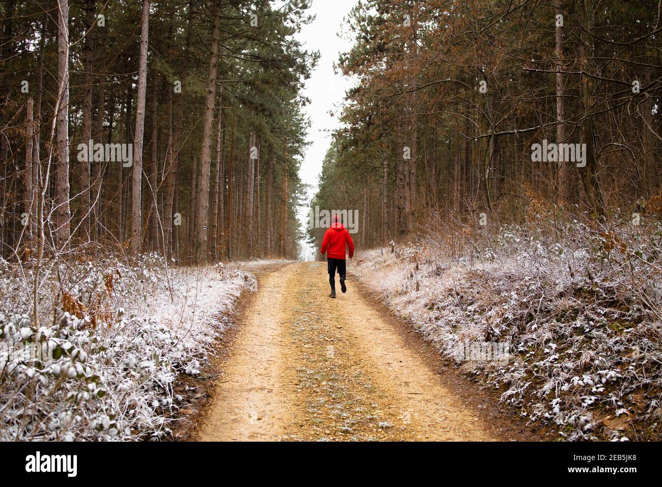 Erwachsener Mann während seiner Outdoor-Laufsitzung Stockfoto