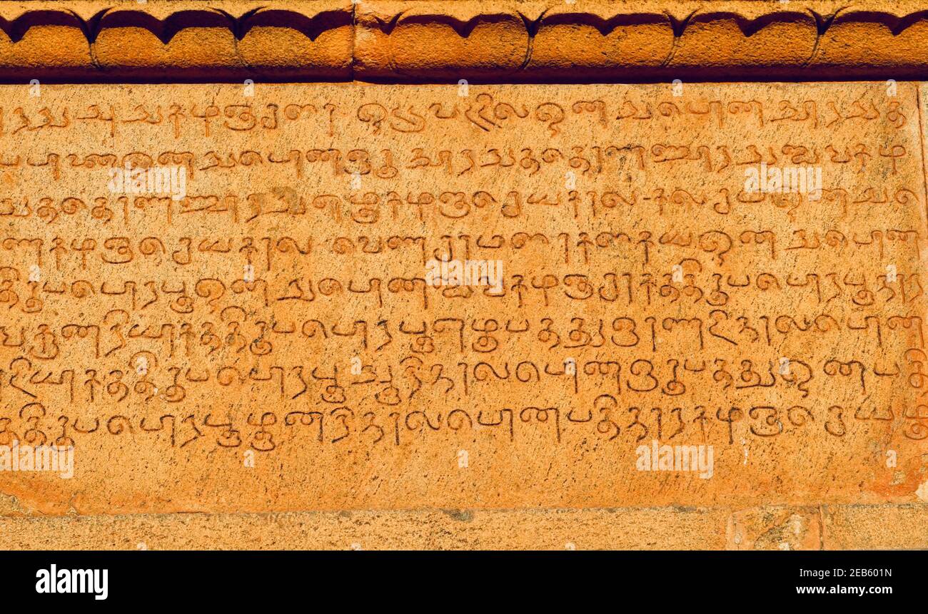 Inschriften tamilischer Texte an den Wänden des historischen Brihadeeswar-Tempels in Thanjavur, Tamilnadu. Alte tamilische Inschriften in den Wänden geschnitzt. Stockfoto