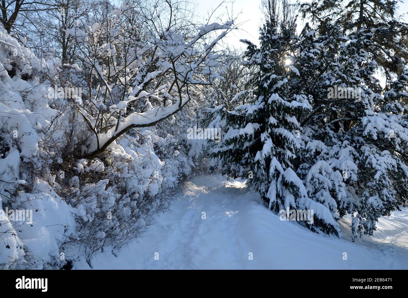 Winterliche Szene im Kartausgarten, Eisenach Stockfoto