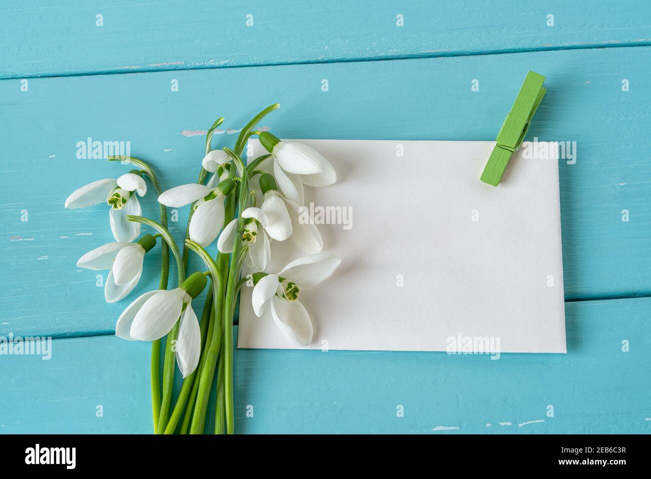 Kleiner Blumenstrauß von Galanthus nivalis Schneeglöckchen auf Papier blank mit grüner Wäscheklammer gegen blauen Holzschreibtisch. Vintage Frühling Saison Feiertage grüßen Stockfoto