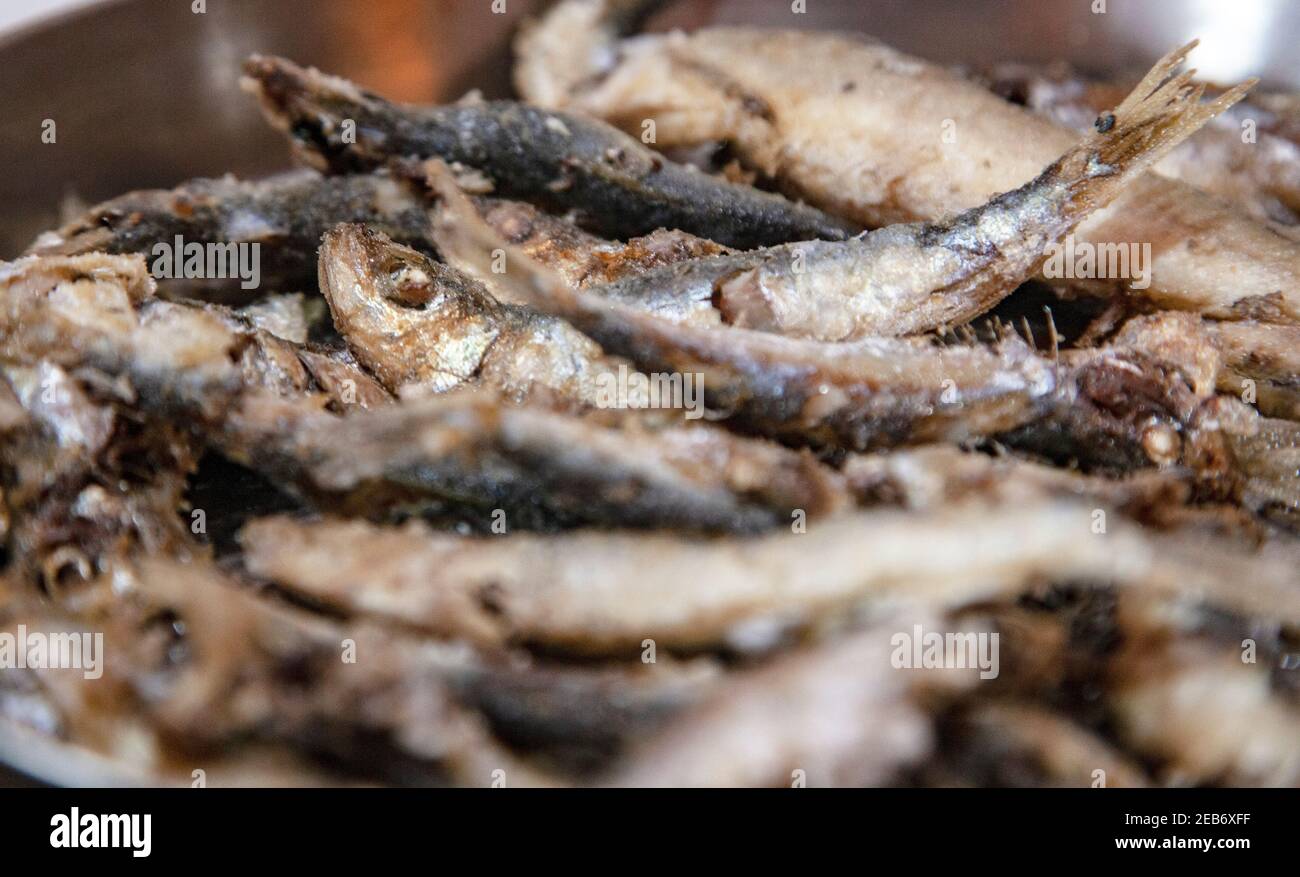 Frischer Sardinenfisch Stockfoto