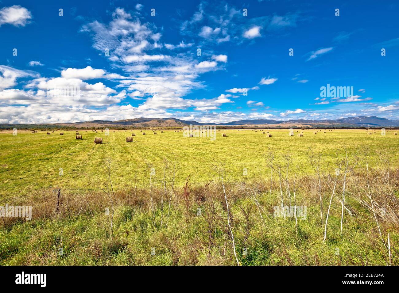 Krbava-Feld. Landschaftlich reizvolle ländliche Landschaft der Region Lika, Zentralkroatien Stockfoto
