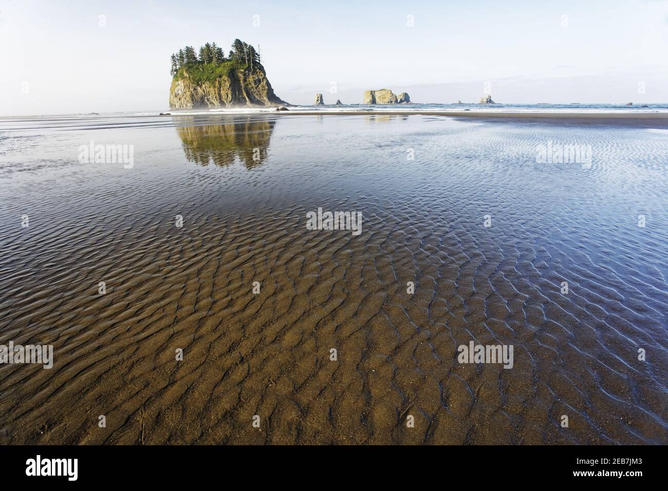 Offsore Sea Stacks und Sandstrand am Low TideSecond Beach Olympic National Park Washington State USA LA001620 Stockfoto
