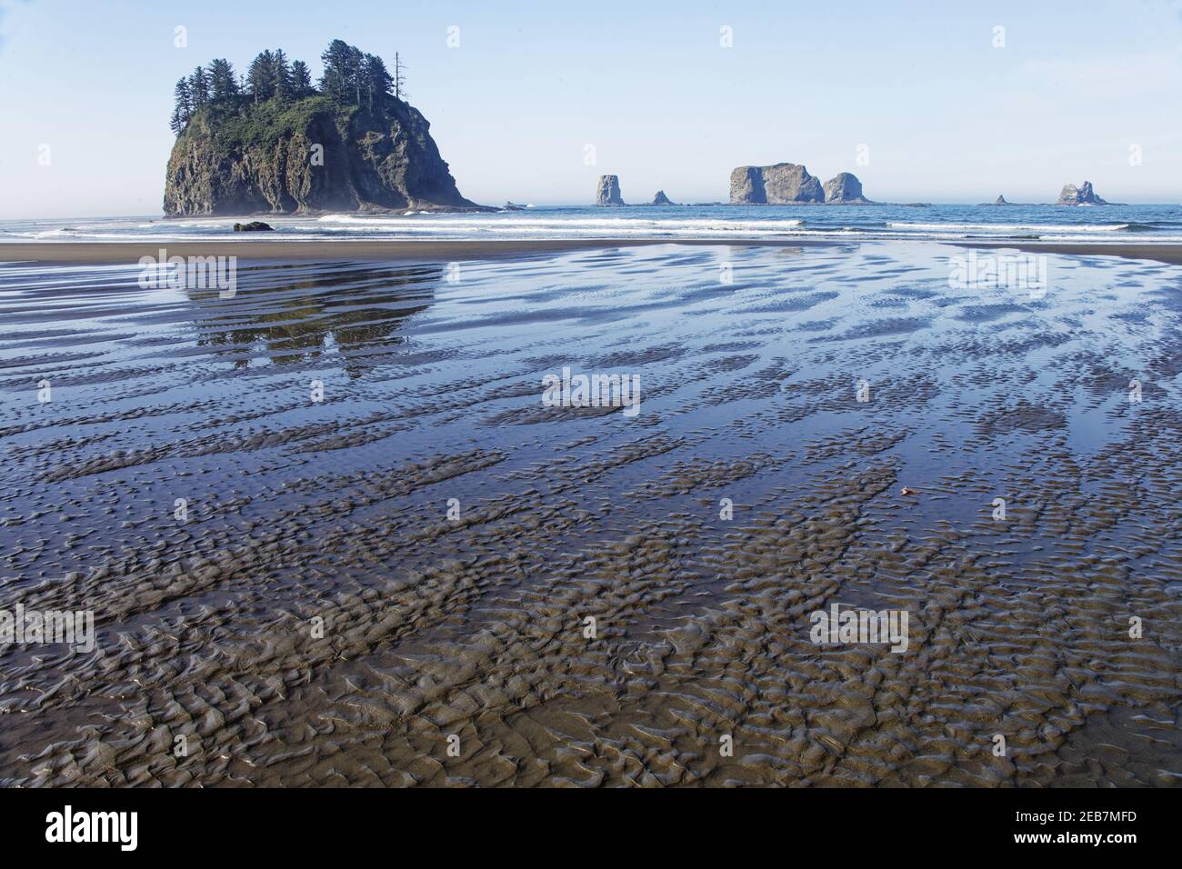 Offsore Sea Stacks und Sandstrand am Low TideSecond Beach Olympic National Park Washington State USA LA001624 Stockfoto
