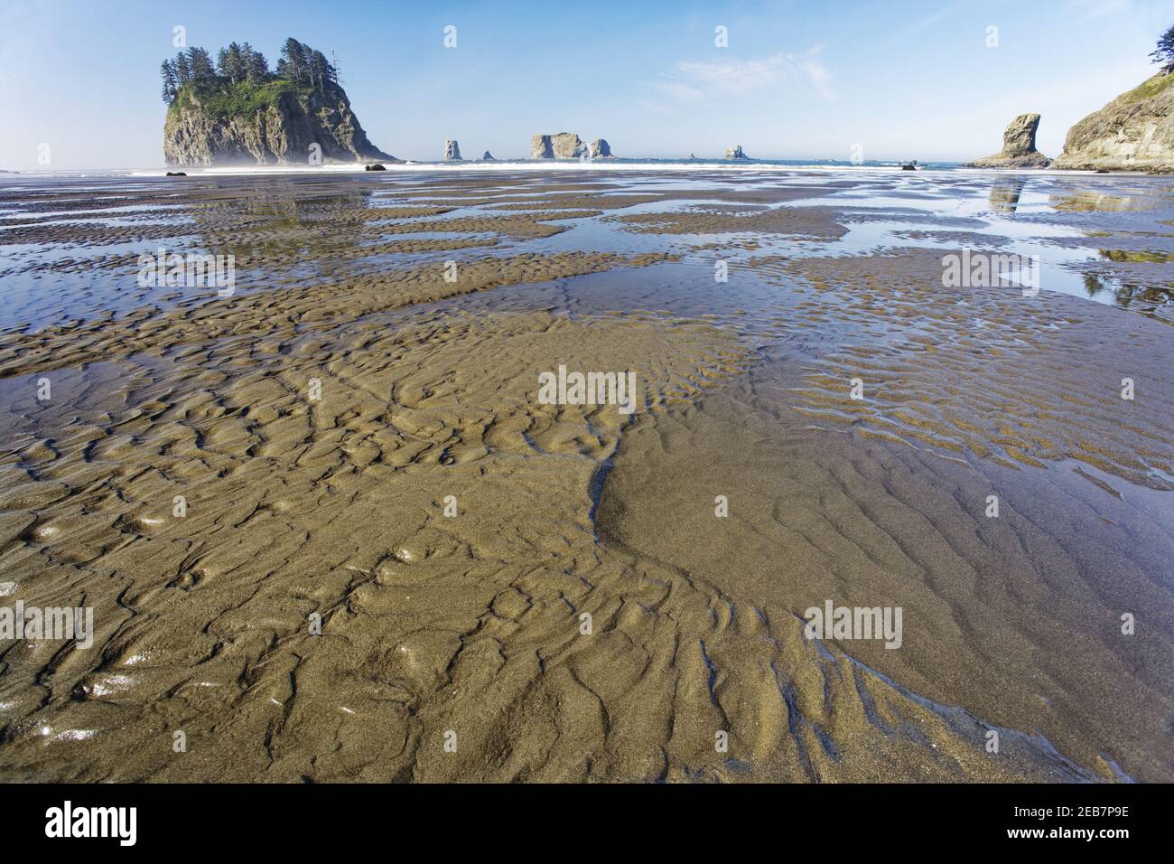 Offsore Sea Stacks und Sandstrand am Low TideSecond Beach Olympic National Park Washington State USA LA001628 Stockfoto