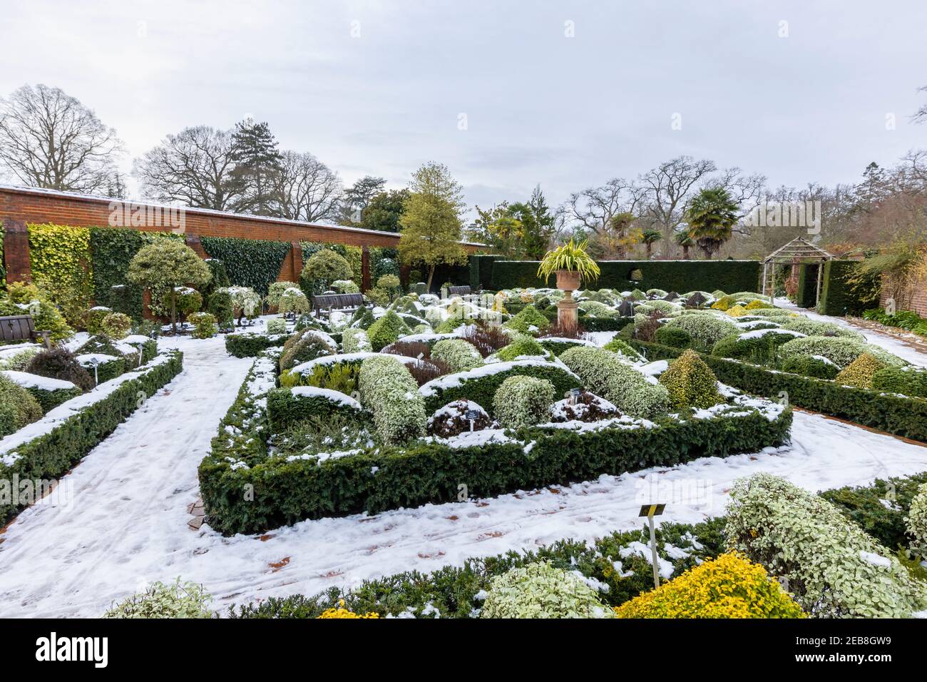 Der formelle Knot Garden im RHS Garden, Wisley, Surrey, Südostengland, im Winter mit ordentlich beschnittenen Büschen und Hecken, die mit Schnee bedeckt sind Stockfoto