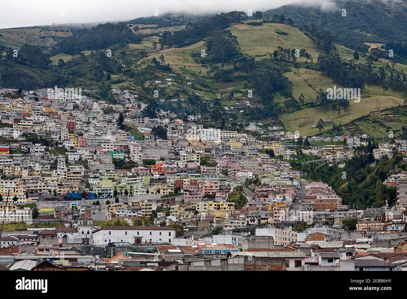 Stadtbild, steiler Hang, Gebäude, dicht beieinander, mehrfarbig, Gras, Bäume, Nebel, Dämmerung, Südamerika, Quito, Ecuador Stockfoto