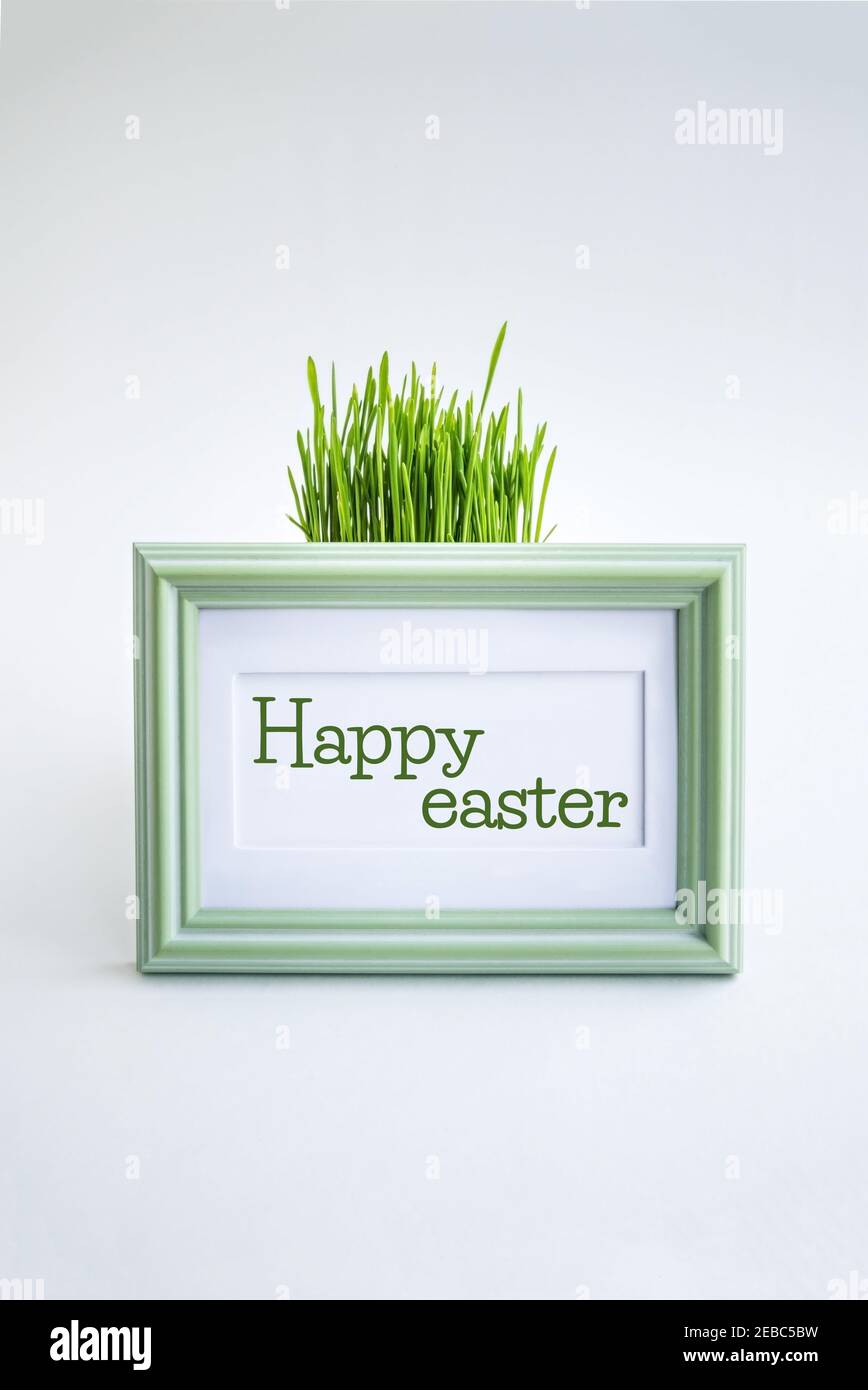 Grünes Gras hinter einem Bilderrahmen mit Text Frohe ostern auf weißem Hintergrund. Stockfoto