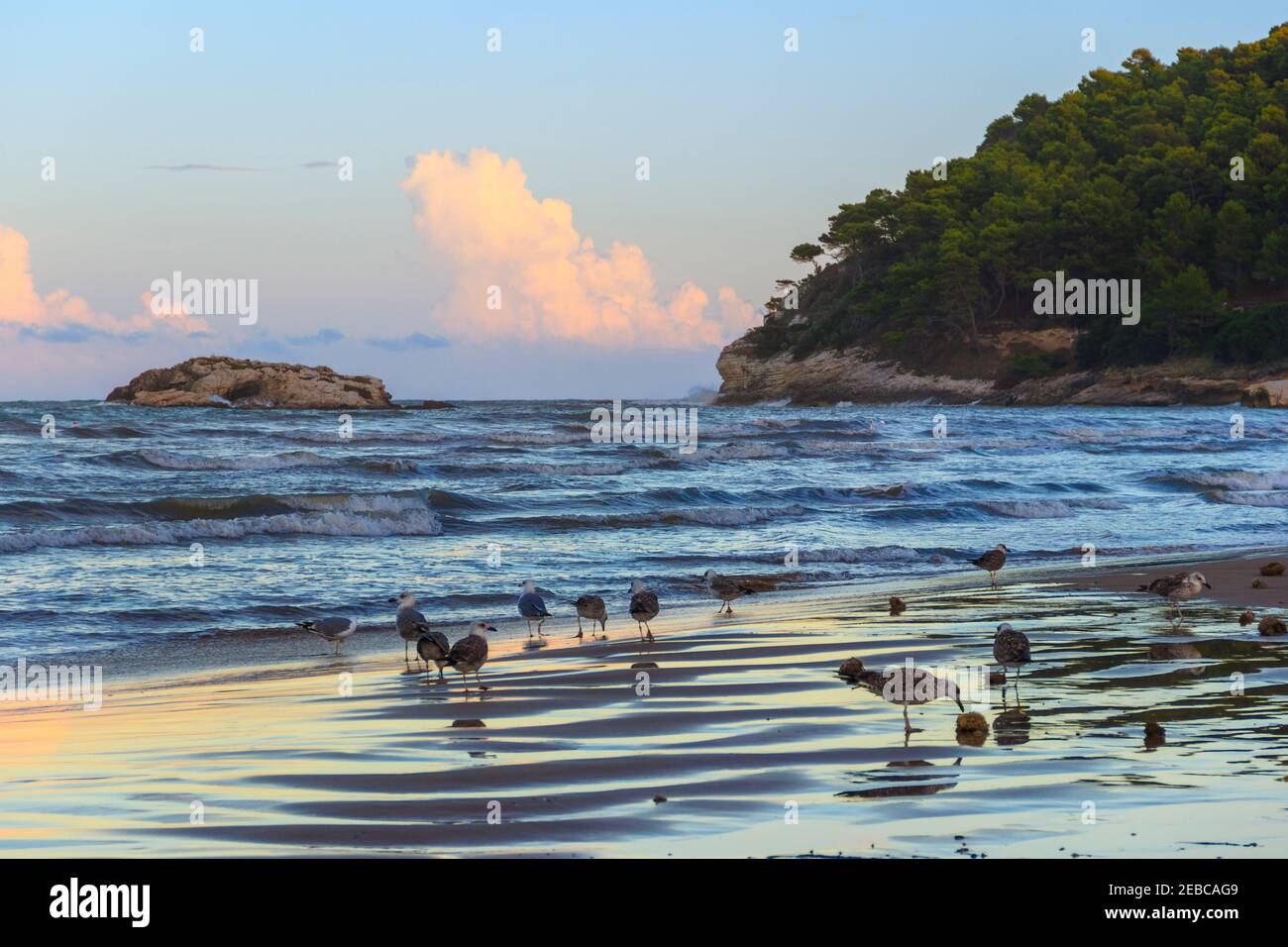 Sommerzeit. Gargano Küste: Portonuovo Strand, Vieste-(Apulien) ITALIEN- im Hintergrund die Insel Gattarella. Stockfoto